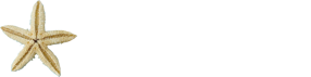 支援方針