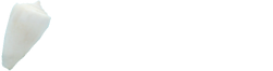 活動内容